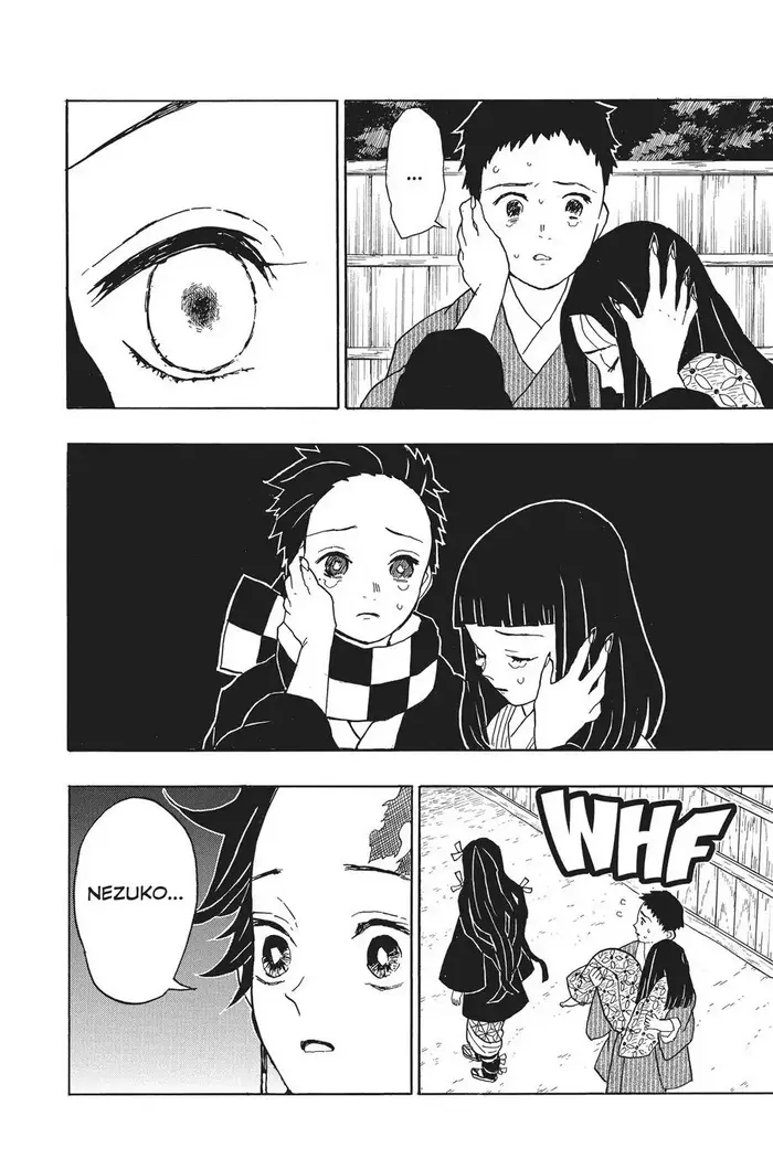 Demon Slayer Chapter 11 image 18_optimized